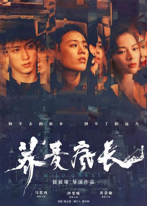 奥尔巴尼医学院文凭毕业证成绩认证